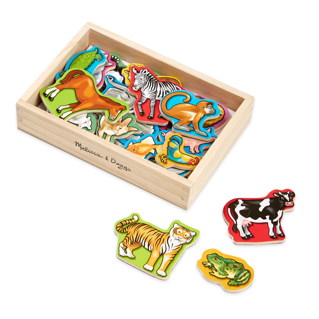Animal Magnets - Box of 20 - Brain Spice