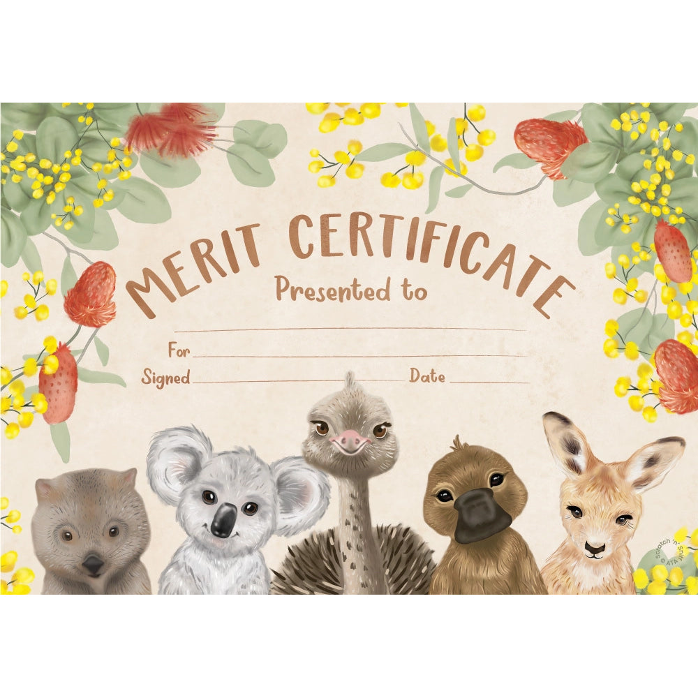 Australia Flora & Fauna - Eucalyptus Scented Certificates (Pack of 20) - Brain Spice