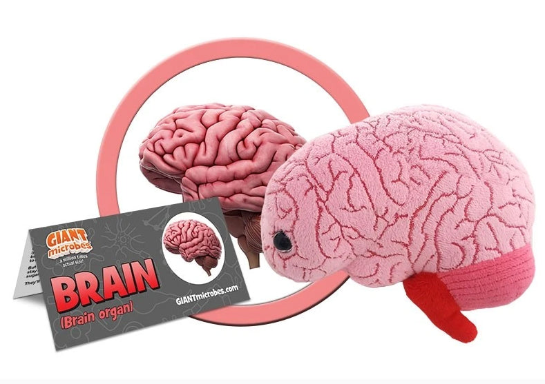 Brain Organ - Giant Microbe - Brain Spice