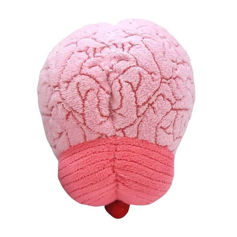Brain Organ - Giant Microbe - Brain Spice