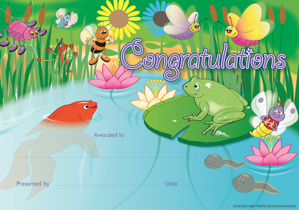 Pond in the Garden - Certificates - Brain Spice
