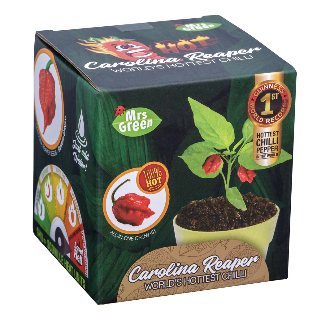 Carolina Reaper Chilli Plant - Brain Spice