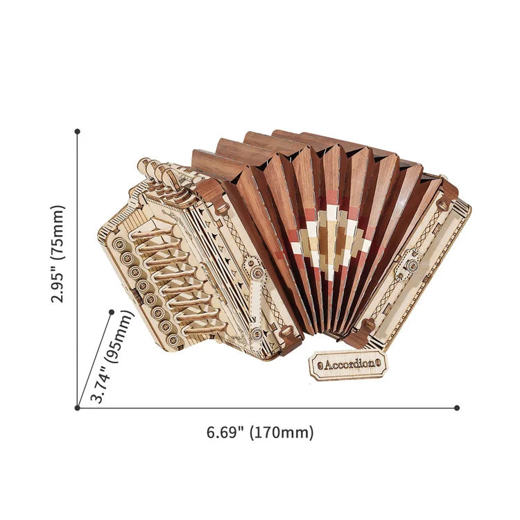 Accordion - 3D Wooden Model - Brain Spice