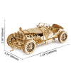DIY Grand Prix Car - Brain Spice