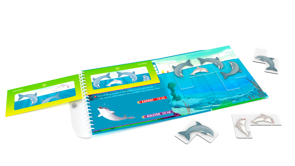 Flippin Dolphins - Magnetic Travel - Brain Spice