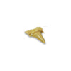 Fossil Shark Teeth Set - Brain Spice