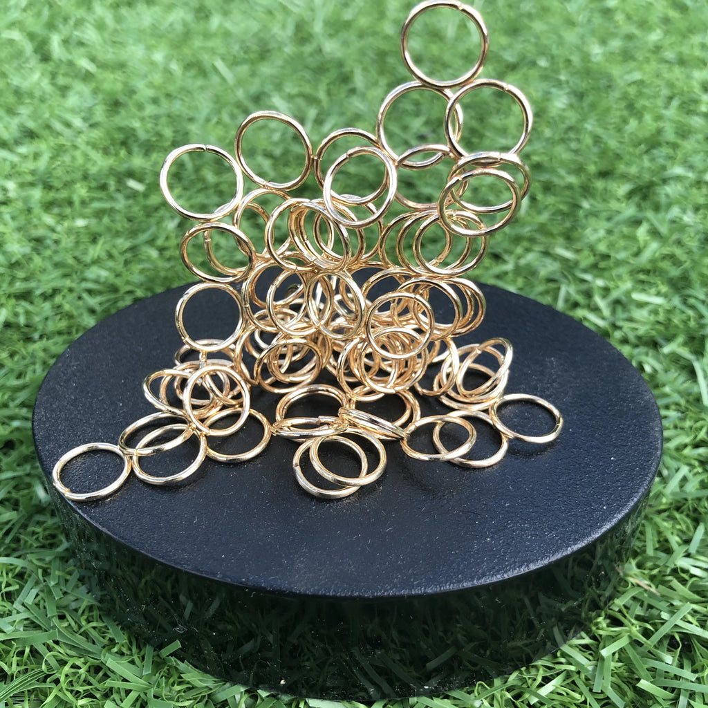 Magnetic Sculpture - Rings - Brain Spice