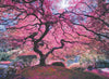 Pink Tree - Jigsaw 1000pc - Brain Spice