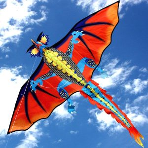 Fire Dragon - Single String Kite - Brain Spice