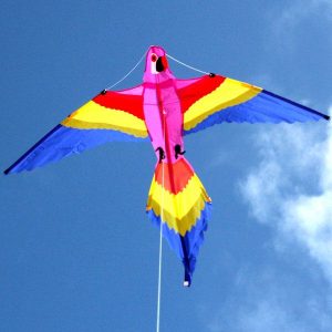 Lorikeet - Single String Kite - Brain Spice