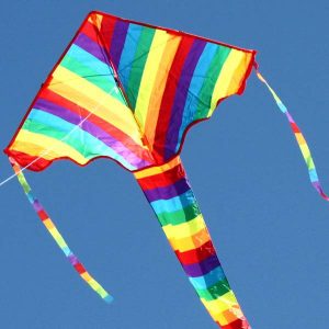 Single String Kite - Rainbow Delta - Brain Spice