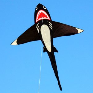 Single String Kite - Shark - Brain Spice
