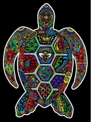Turtle - Large Poster - Brain Spice