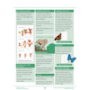Teaching Mathematics Through Story Books - Book 1 - Brain Spice