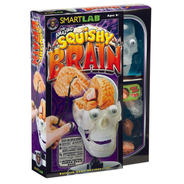 The Amazing Squishy Brain Lab - Brain Spice