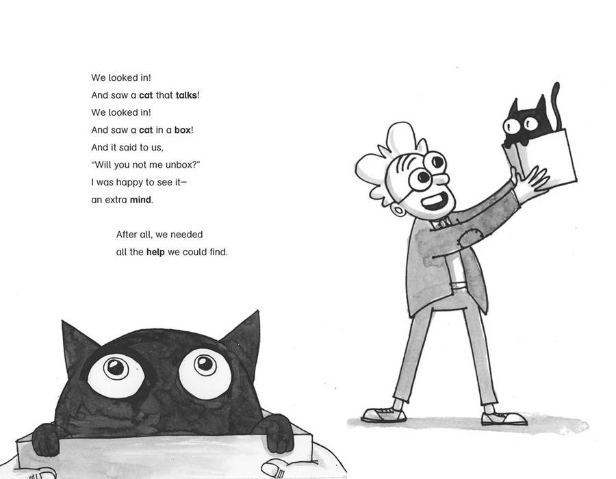 The Cat in the Box - Brain Spice
