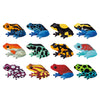 Tropical Frogs - Shaped Memory Match - Brain Spice