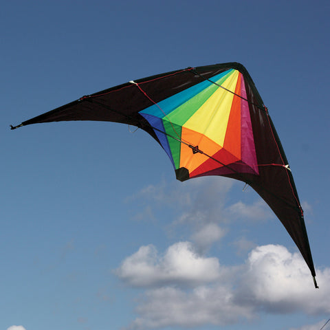 Black Widow - Dual Control Kite - Brain Spice