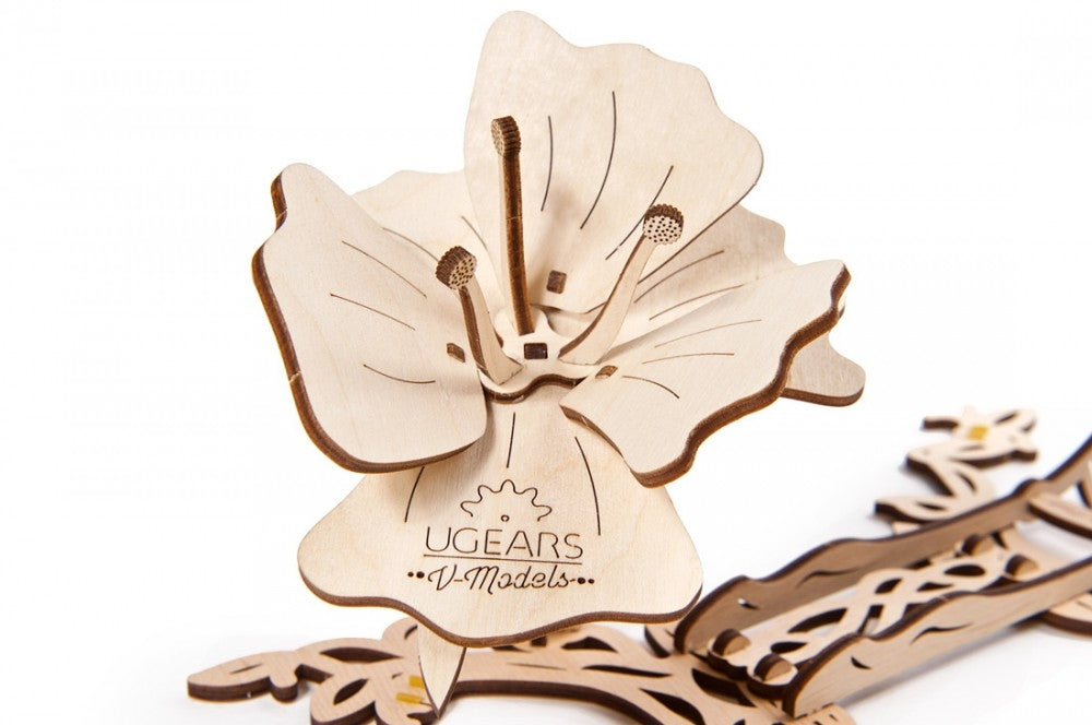 Butterfly - uGears - Brain Spice