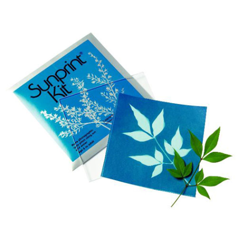 Sunprint Kit - Brain Spice