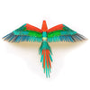 Parrot - Jubilee Macaw - ICONX - Brain Spice