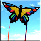 Single String Kite - Rainbow Butterfly