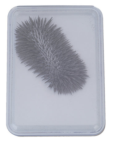 Iron Filings in Bubble Case - Brain Spice