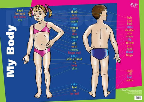 My Body Wall Chart - Brain Spice