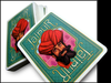 Jaipur - Limited Edition - Brain Spice