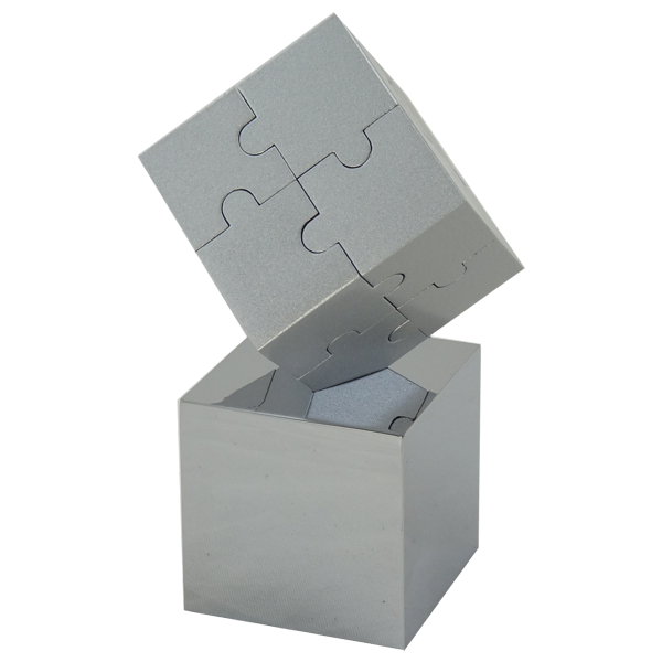 Magnetic Cube - 3D Jigsaw Puzzle - Brain Spice