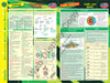 Science 1 - RIC Essentials