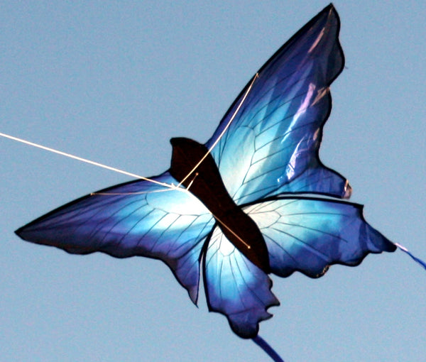 Ulysses Butterfly - Single String Kite - Brain Spice